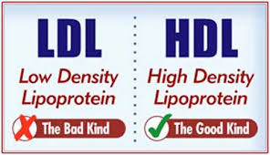 درمان کلسترول LDL-  طب سنتی